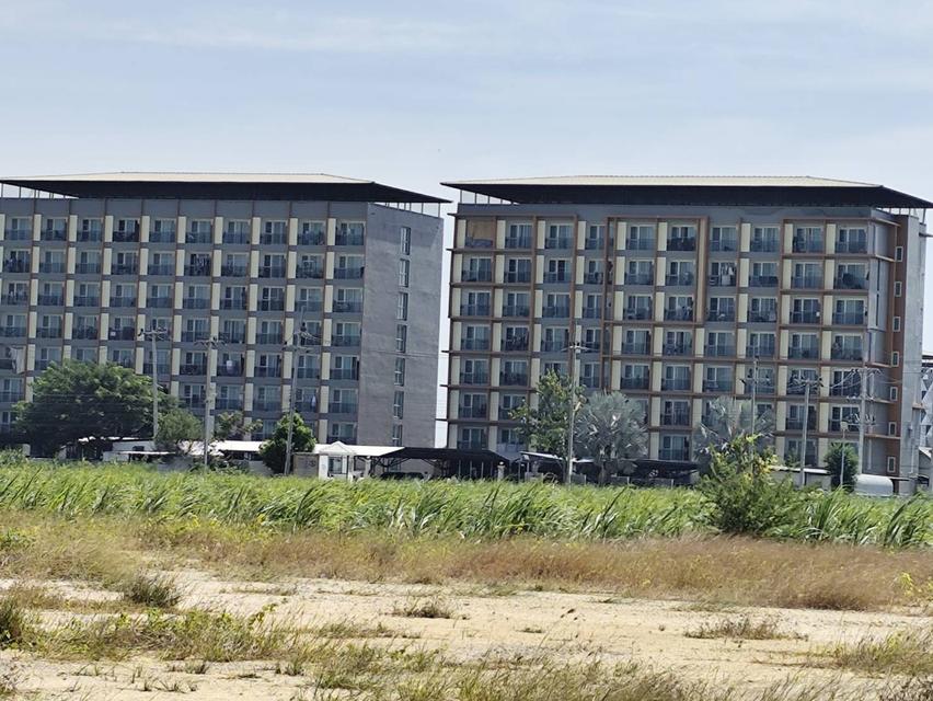 Sale Nice Land 5 Rais Nakhon Pathom suitable for residence and Projects 12