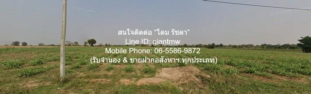 DSL-1018 ขาย ที่ดิน ห่าง ถนนมอเตอร์เวย์ M6 (บางปะอิน-หนองคาย) 4.5 กม. 5000000 บาท นครราชสีมา สีคิ้ว 10 ไร่ 4000 ตารางวา 7