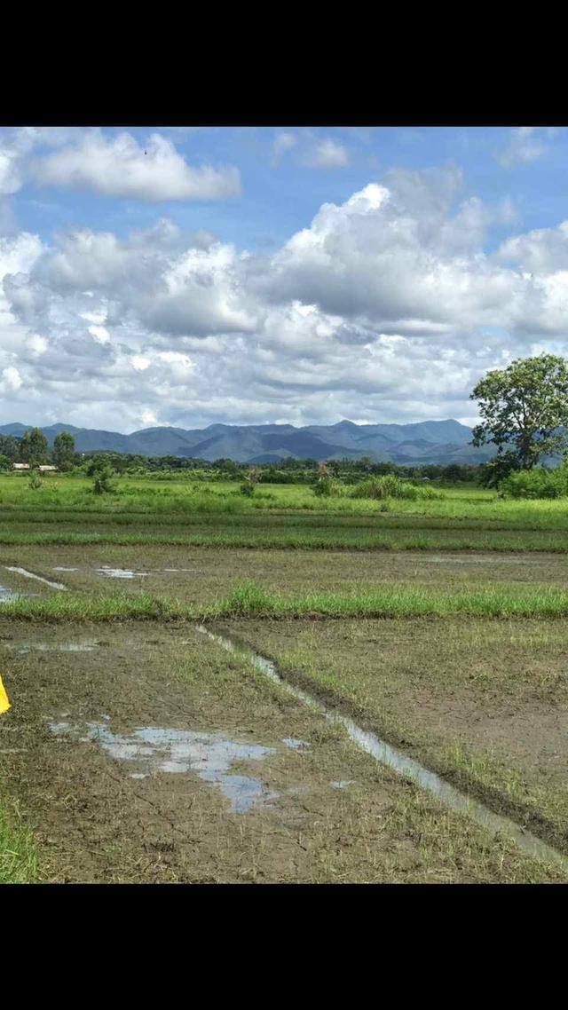 ที่ดินวิวภูเขา ใกล้เมืองเชียงใหม่ ทำเลหายากบรรยากาศเหมือนรีสอร์ส่วนตัว 3