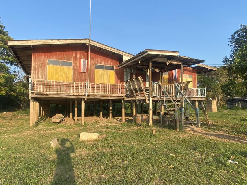 ที่ดินผืนงามริมแม่น้ำเจ้าพระยา – อัญมณีแห่งบางปะอิน 8