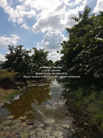 พื้นที่ดิน ให้เช่าที่ดินเปล่า 1 ไร่ (400 ตร.ว.) ติดถนนพุทธมณฑลสาย 1 ราคา 30,000 บาท/เดือน (รับสัญญาระยะสั้น-ยาว) 400 ตร. 7