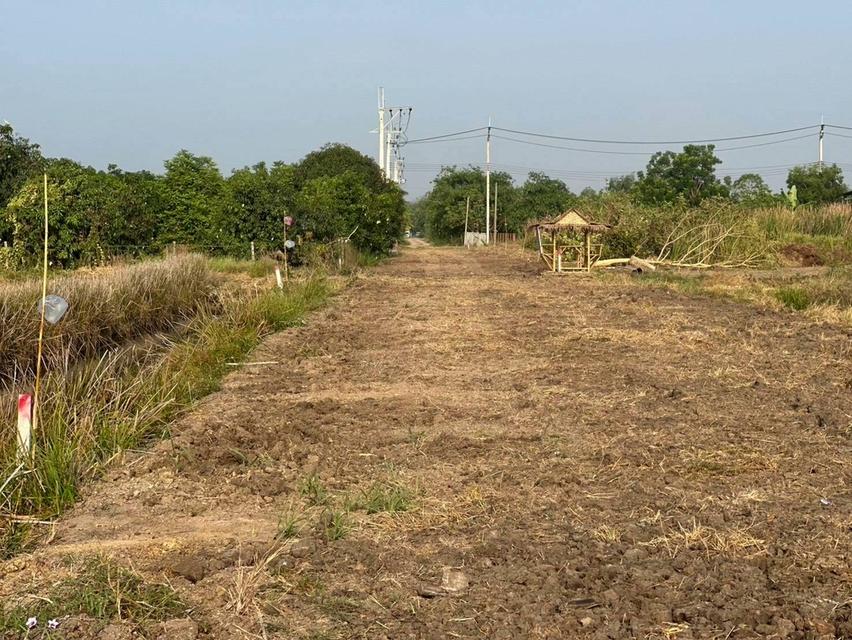 ที่ดินหนองจอก กรุงเทพ 3