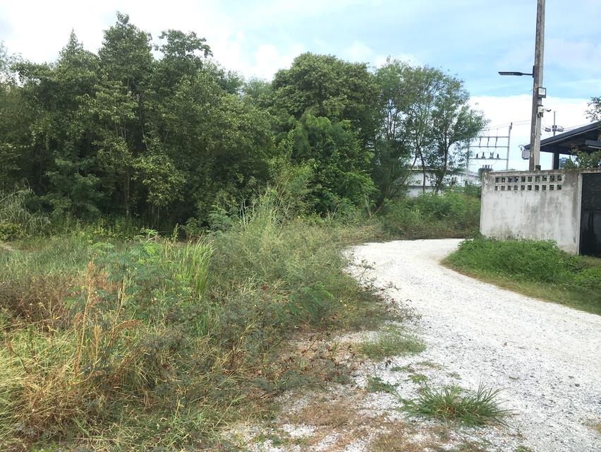 ขายที่ดิน 1-3-2ไร่ ติดถนน เสม็ด-อ่างศิลา ในเมืองชลบุรี ติดปั้ม ปตท.อ่างศิลา ตำบลเสม็ด อำเภอเมืองชลบุรี ห่างถนนเสม็ด-อ่างศิลา 4