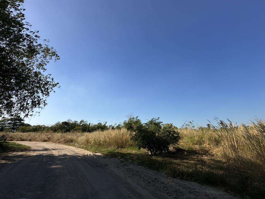 ขายที่ดินเปล่า รูปแปลงสวย เนื้อที่ 1-0-32 ไร่ ถ.ดอนนุ่น 3 ต.บึง อ.ศรีราชา จ.ชลบุรี 6