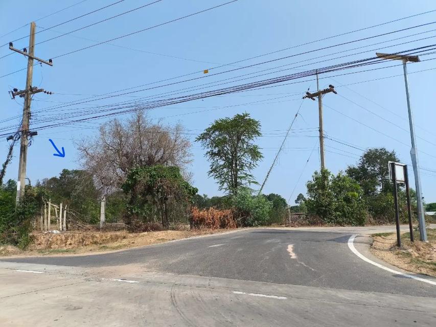 ขายที่ดินเปล่า โฉนดพร้อมโอน 2 ไร่ 17 ตรว. ติดถนน 2 ด้าน อรุณประเสริฐ 202 และถนนเข้าหมู่บ้านน้ำอ้อม เกษตรวิสัย ร้อยเอ็ด 5