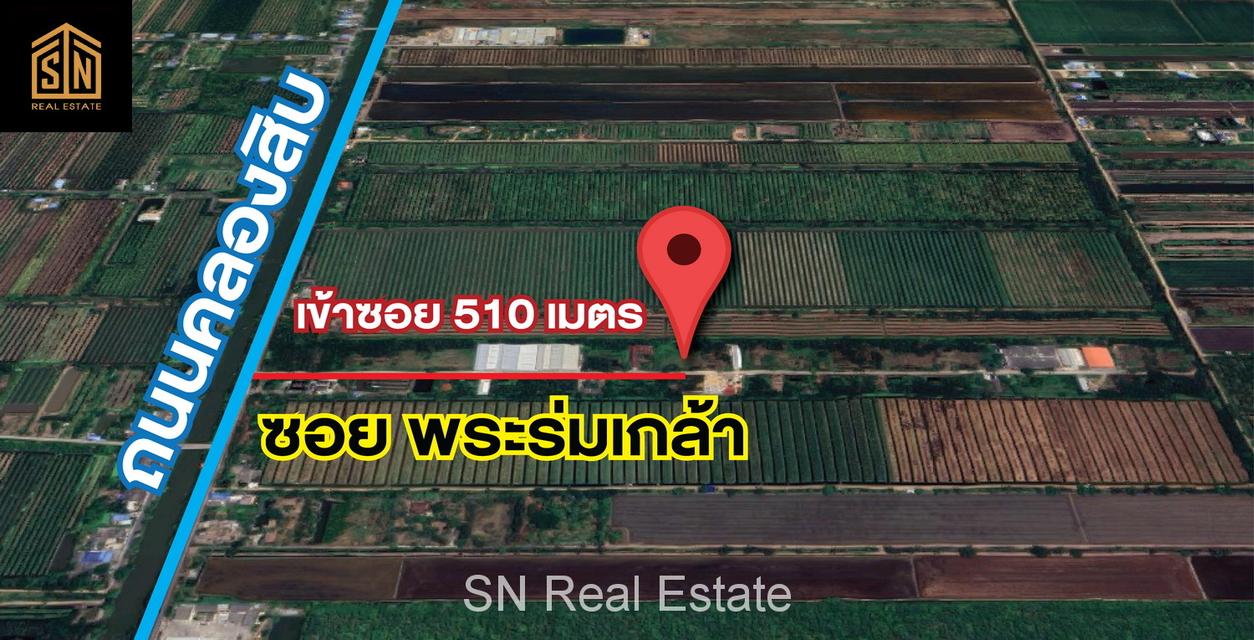 ขายที่ดิน คลอง 10 ซอยพระร่มเกล้า 1-2-24 ไร่ หนองเสือ ปทุมธานี 1