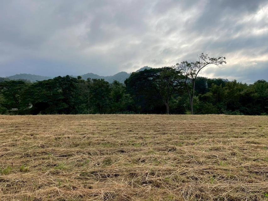 ขายที่ดินสวย วิวภูเขา เขาใหญ่ นครราชสีมา 3