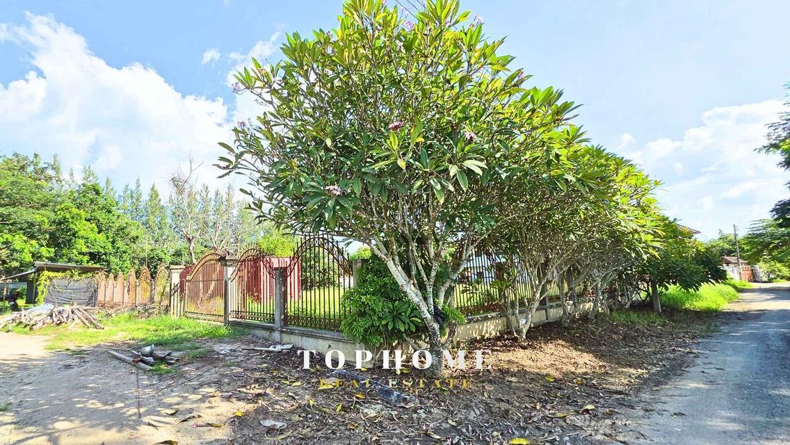 ขายด่วน‼️ บ้านเดี่ยว 2 ชั้น พร้อมที่ดินผืนใหญ่ ทำเลดีในเชียงใหม่ 🔥🏡 4