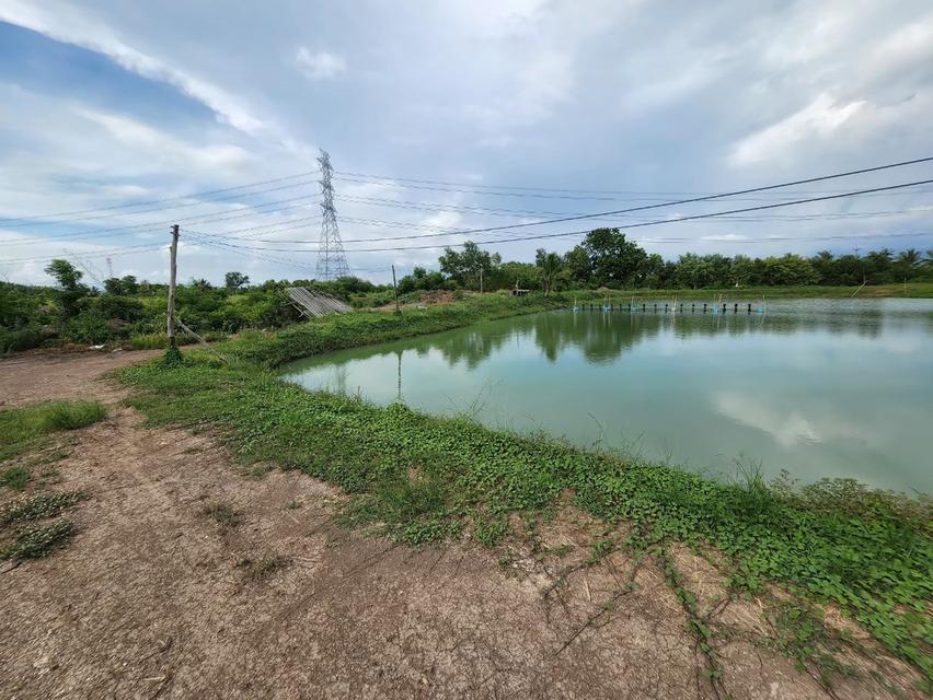 ที่ดิน บางคล้า ฉะเชิงเทรา  5