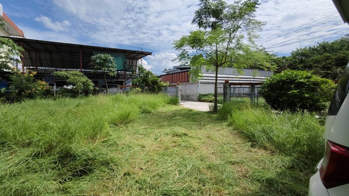 #ขายที่ดินทำเลดี #ที่ดินสวยทำเลทองใกล้ห้างสรรพสินค้า 4