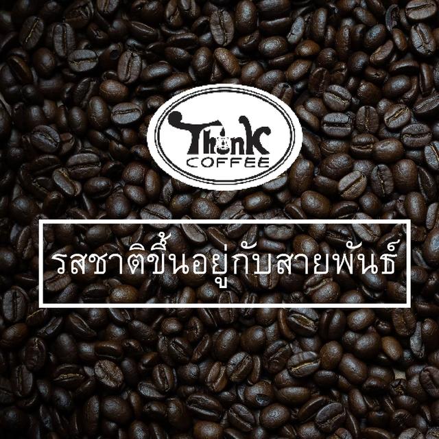 กาแฟคั่ว specialty coffee รูปที่ 6