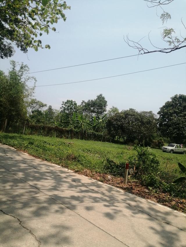 ขายที่ดินถมแล้ว 200 ตารางวา จังหวัดนครนายก 6