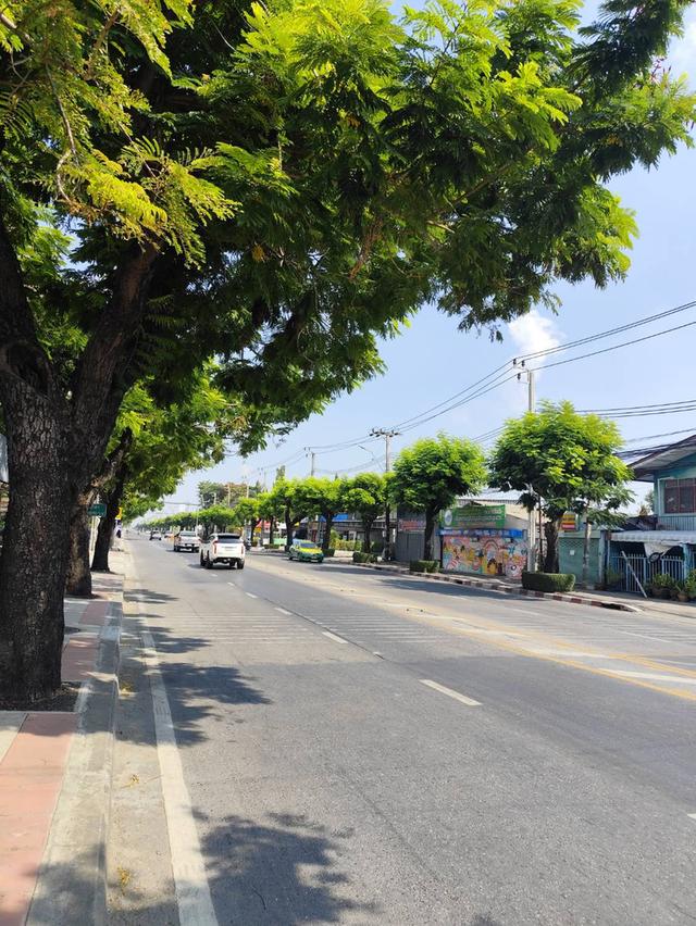 ขายบ้านเดี่ยวเก่า ชั้นเดียว 3 นอน 2 น้ำ ทำเลดี ใกล้สวนหลวง ร9 1