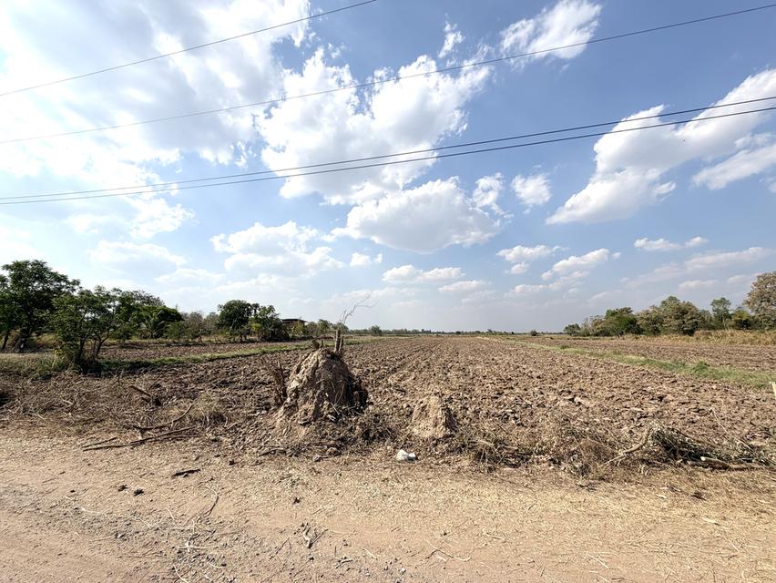 📍ขายที่นา 4ไร่ 3งาน 3.1ตารางวา หน้ากว้าง 40 เมตร น้ำไม่เคยท่วม มีไฟฟ้า น้ำปะปา ติดถนน 5