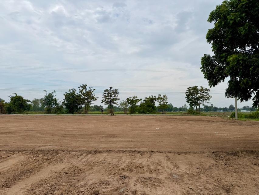 ที่ดินราคาน่าจับต้อง หนองหญ้าไซ สุพรรณบุรี เริ่มเพียง 200,000 บาท 7