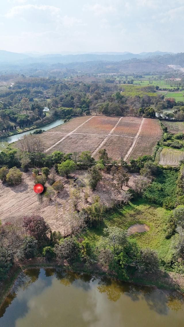 ประกาศขายที่ดิน ทำเลศักยภาพ ใกล้ไร่ชาฉุยฟง ตำบลศรีค้ำ อำเภอแม่จัน จังหวัดเชียงราย 57110 8