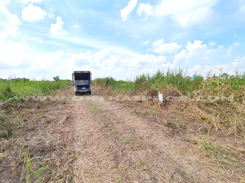 ที่ดินจัดสรรล็อคที่ 19 ถ.346 ต.หน้าไม้ อ.ลาดหลุมแก้ว จ.ปทุมธานี 1