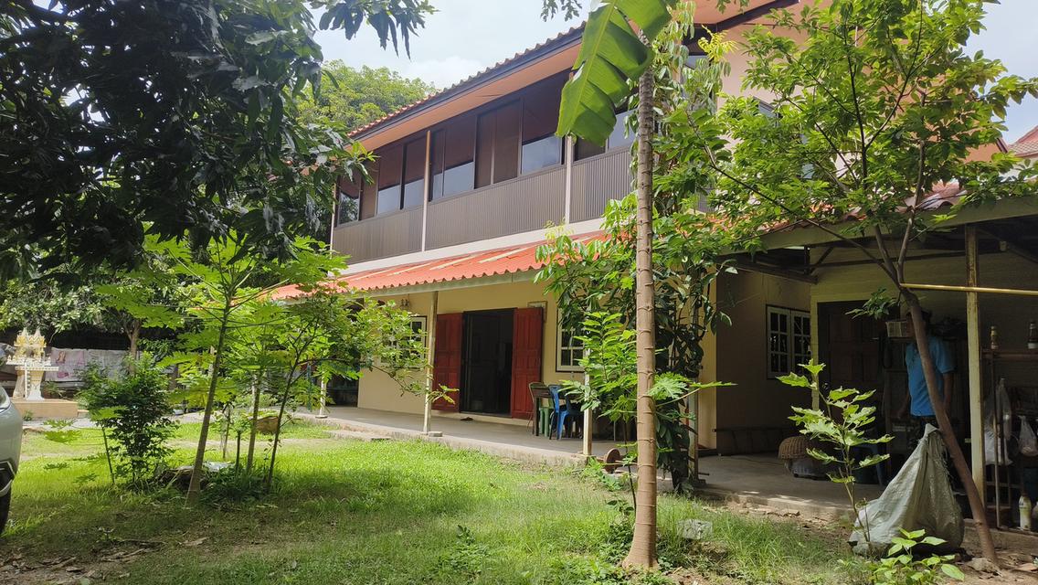 ขายบ้านกลางเมือง ร่มรื่น อากาศดี 2