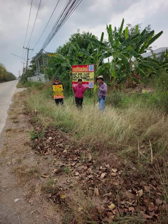 ขายด่วนที่ดิน 156 ตารางวา ติดถนนสาธารณะ แปลงมุม คลองหกตะวันตก 69 คลองหลวง ปทุมธานี 1