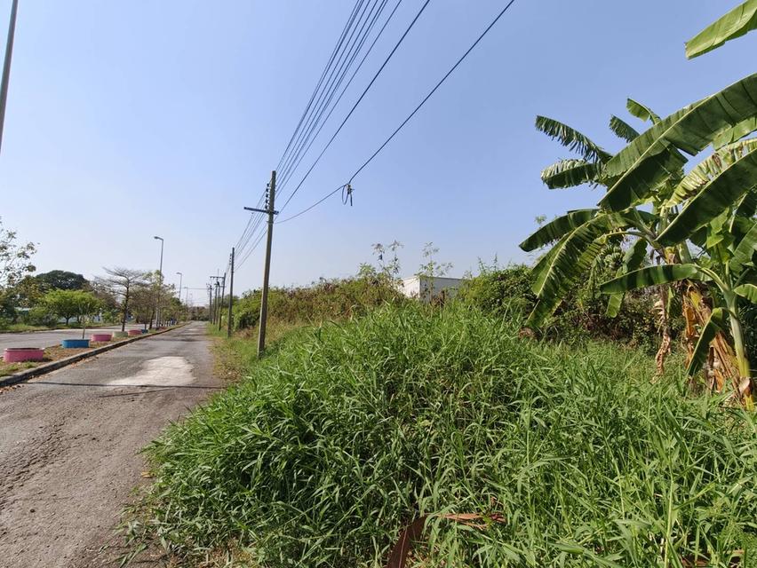 ขายที่ดิน เมืองเอก บางปู 40 ตรว. 6