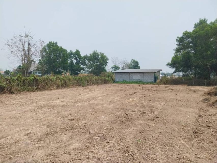 ที่ดินสำหรับสร้างบ้าน 6