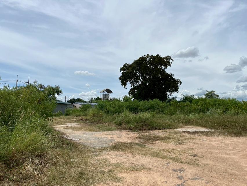 ขายที่ดินปลวกแดง - ติดถนนใหญ่ ( ถนน 4 เลน ) ระยอง 4