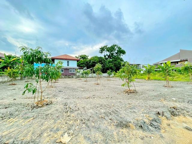 ที่ดินเปล่าถมแล้ว บ้านพักคนงาน ใกล้สี่แยกทศกัณฑ์ 700 ม.ขนาด 165 ตร.ว.ทำเลดี บางแวก89-95 พื้นที่รวม 660 ตร.ม. และร้านสะดว 4