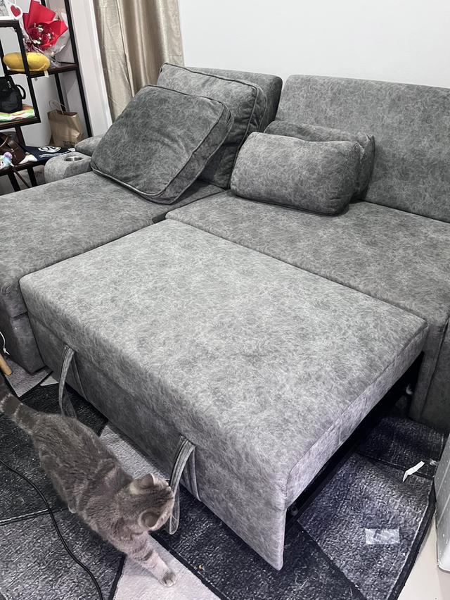 โซฟาเบด (ซ้าย) ผ้ากัมมะหยี่ รูปย่อยที่ 1