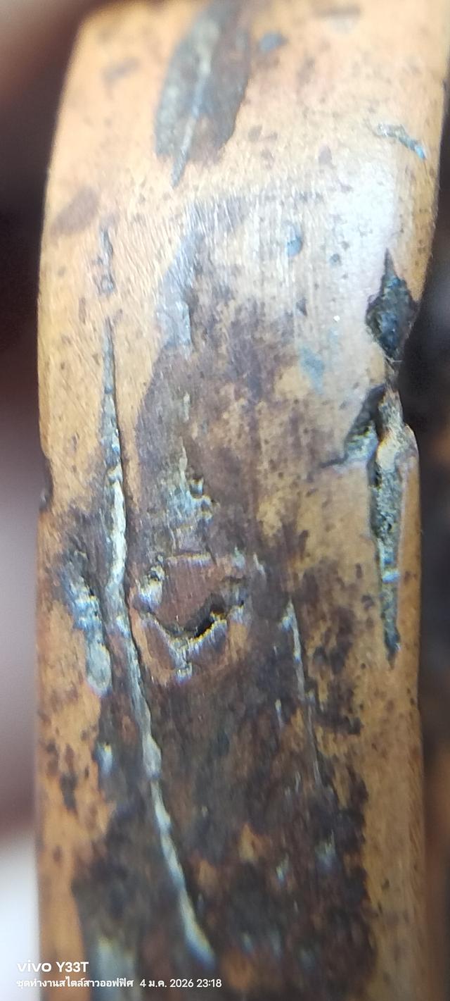 พระซุ้มกอพิมพ์ใหญ่ มีลายกนก รูปที่ 15