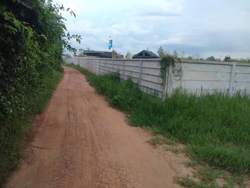 บ้านพร้อมที่ดินทำเลทอง 20