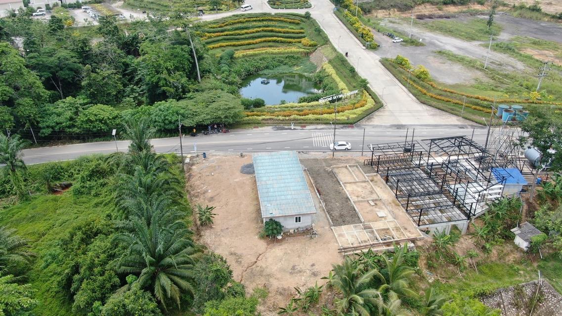 ขายด่วน! ที่ดินพร้อมบ้าน เสม็ดนางชี พังงา (ตรงข้าม Beyond Skywalk) 4
