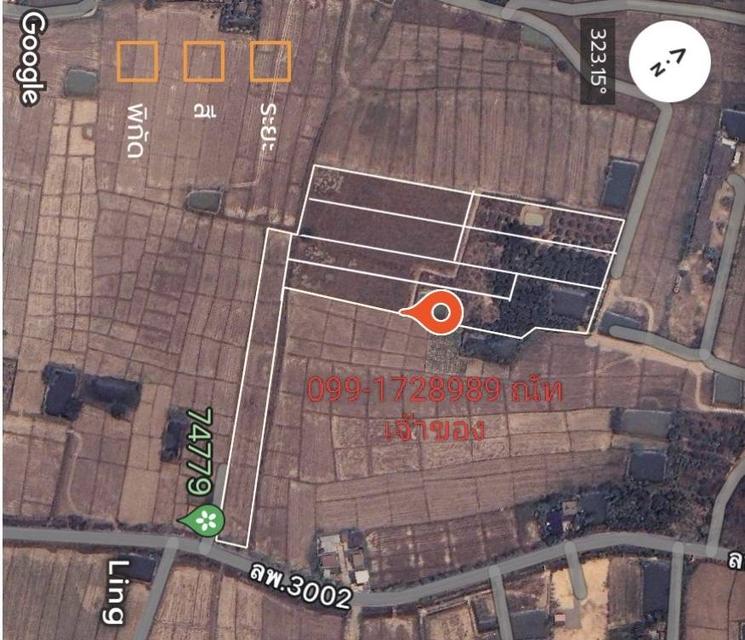 ที่ดิน จ.ลำพูน