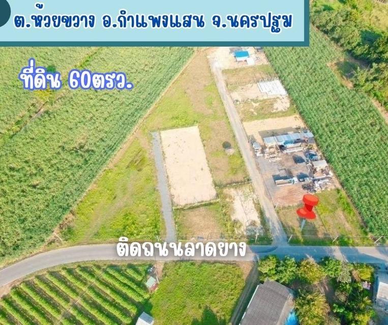 ที่ดิน กำแพงแสน จ นครปฐม ติดลาดยาง  14
