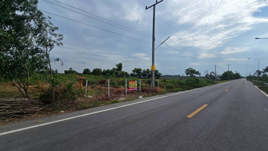 ขายด่วนที่ดินใกล้วัดไผ่หูช้าง 6-3-9 ไร่ ติดถนนลาดยางสาธารณะ บางเลน นครปฐม 2