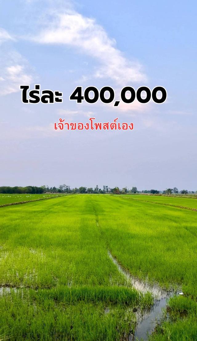 เจ้าของขายเอง ที่ดิน 5ไร่ 3งาน อ.โพธาราม จ.ราชบุรี 1
