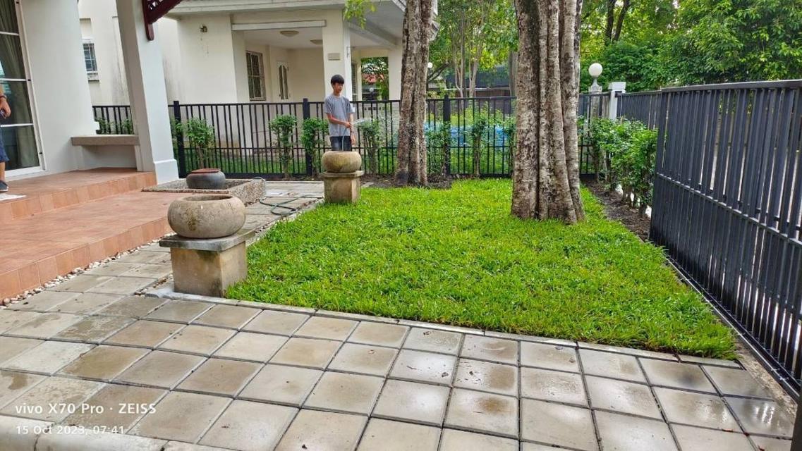 ให้เช่าบ้านเดี่ยว 2 ชั้น หมู่บ้านชัยพฤกษ์ เรียบคลอง4 ฝั่ง รังสิต-นครนายก ซ.19 ปทุมธานี ใกลโลตัสคลอง4,รร.สวนกุหลาบรังสิต,ดรีมเวิล์ด ค่าเช่า 26,000.-/เด 8