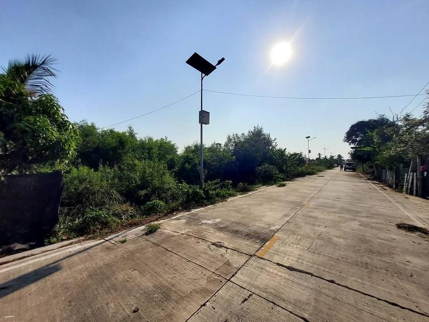 ขายด่วนที่ดินถนนฤชุพันธุ์ 568 ตารางวา ติดถนนคอนกรีตสาธารณะ ซอย ฤชุพันธุ์ 4 อ.ไทรน้อย จ.นนทบุรี 4