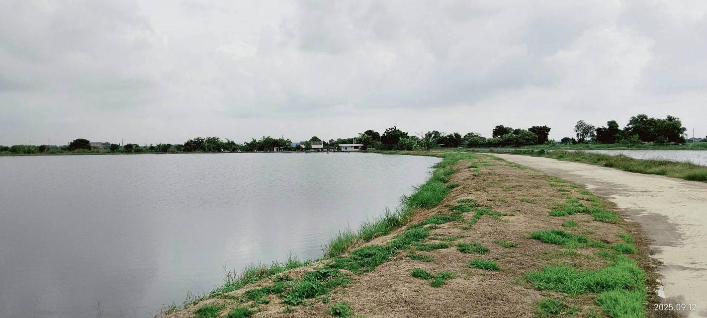 📢⛳ขายที่ดิน บางปลา (คลอง2) สมุทรปราการ ยังไม่ถม ⛳ 10