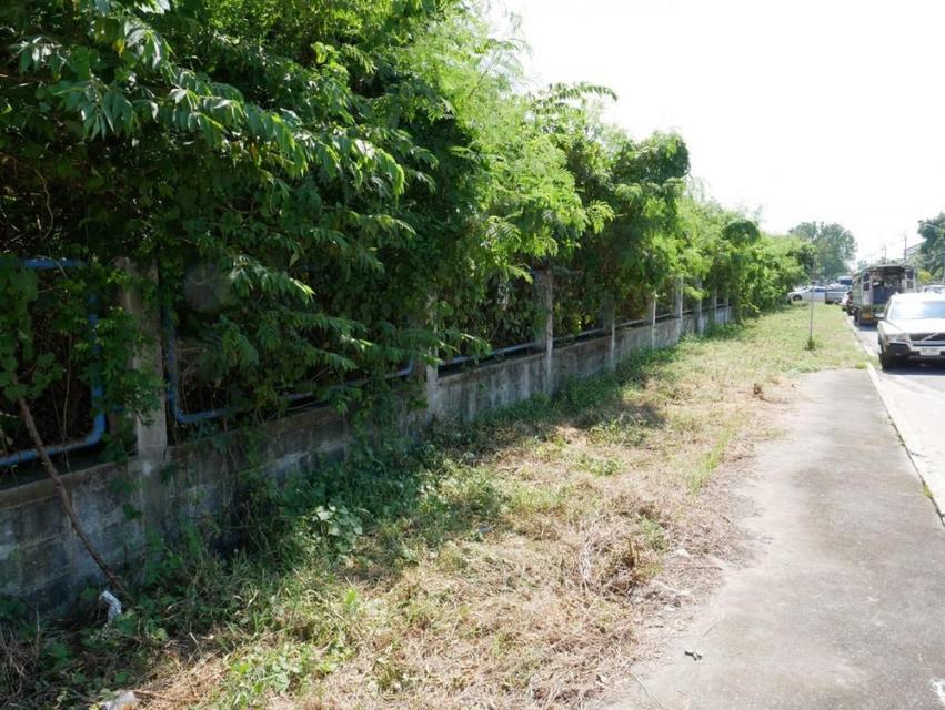 ที่ดิน5ไร่ สำหรับทำโรงงงาน-โกดัง ใจกลางนิคมอุสาหกรรมลาดกระบัง 4