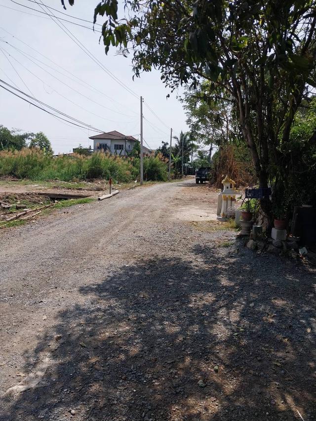 ขายที่ดิน 50/100 ตรว.ใกล้แหล่งชุมชนโรงเรียนใกล้ทางด่วนอุดรรัถยา ม.ธรรมศาสตร์ ศูนย์รังสิต  ม.ปทุมฯตลาดทรัพย์ปทุมทางเข้าซุ้มวัดบัวหลวง โทร081-2056883 3 1