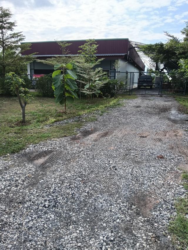 ที่ดินพร้อมโรงงาน+ห้องเย็น+โรงปลูกผักออแกนิค 6
