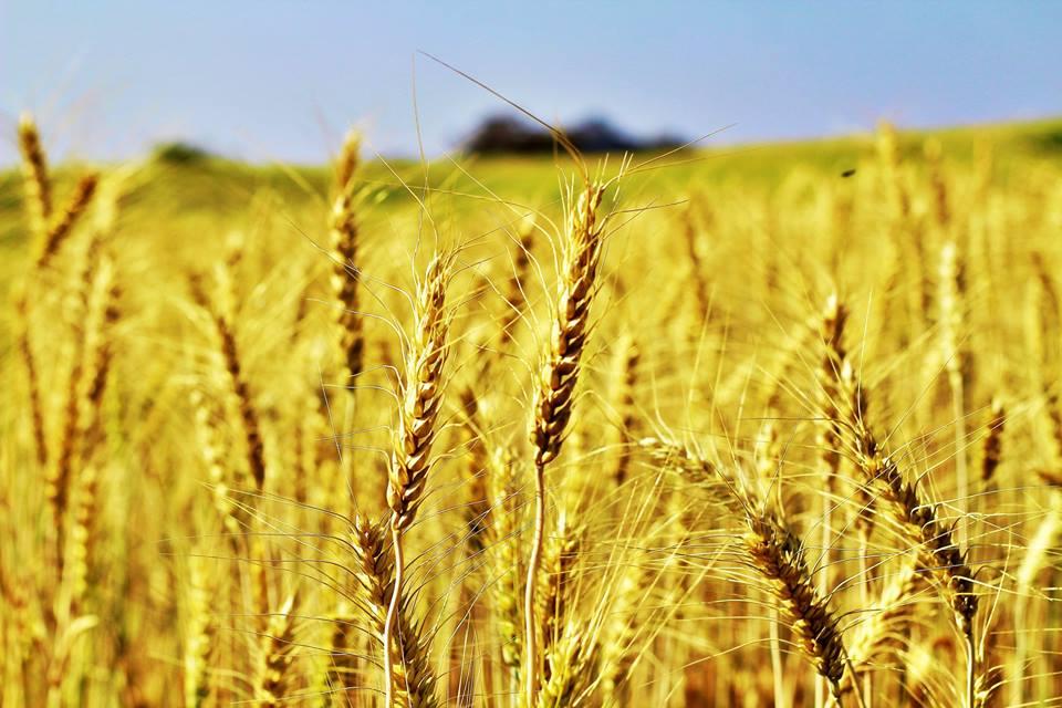 ทริปเชียงใหม่ สะเมิง 3 วัน 2 คืน รูปย่อยที่ 2