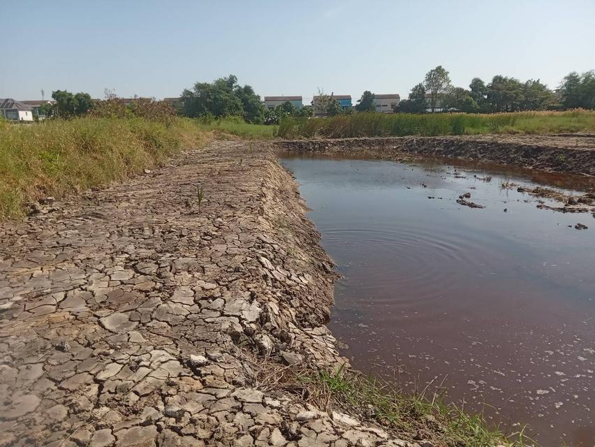 ขายที่ดินเปล่า 525 ตารางวา ติดถนนคอนกรีต ซอยเทศบาลบางปู 83 4