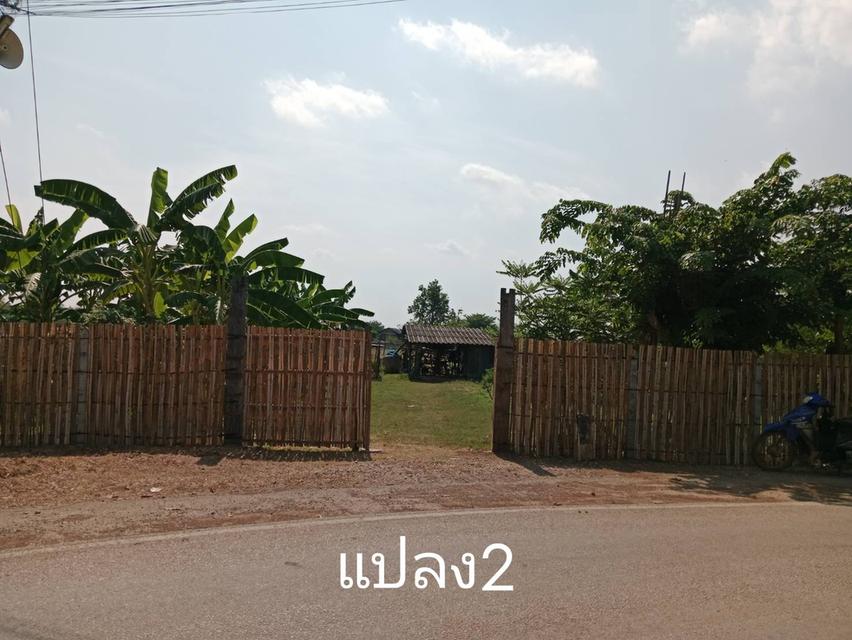 ที่ดินเจ้าของขายเอง ทั้ง3แปลง ครุฑแดง ใกล้โรงพยาบาล สถานศึกษา อำเภอ ที่ดิน สถานนีตำรวจ สามารถคุยโดยตรงกับเจ้าของที่ได้เลย ที่อยู่ จ.ลำแาง 6
