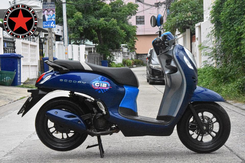 Honda Scoopy Club12 12