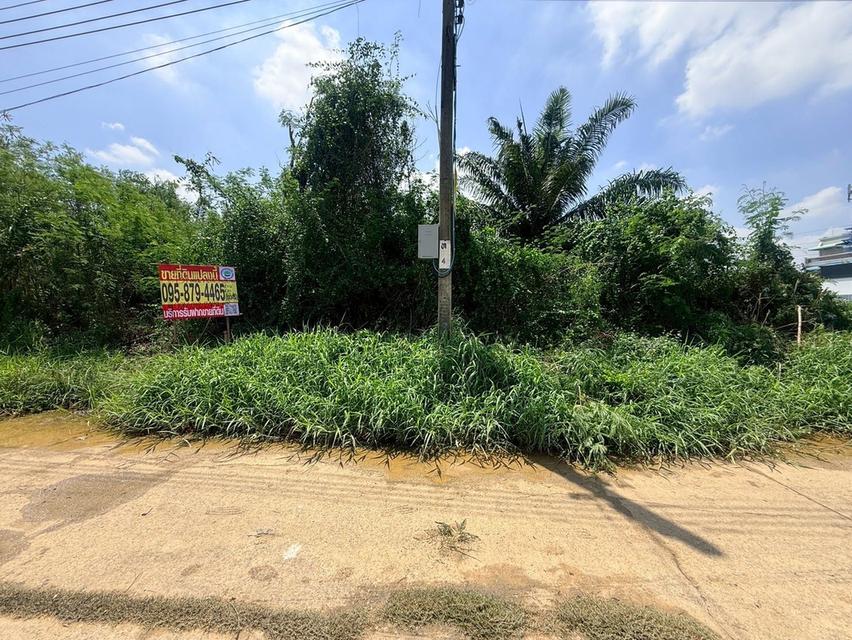 ขายด่วนที่ดิน 704 ตรว ติดถนนพุทธมณฑลสาย 2 ถนนพุทธมณฑลสาย 2 เขตบางแค กทม 2