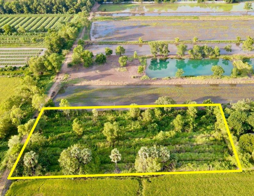 ข️ายที่ดินบึงกาสาม 3 ไร่ คลอง11 ใกล้ถนนเส้น5021-9.5กม. อ.หนองเสือ ปทุมธานี 4