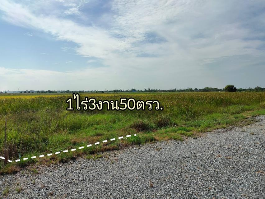 ที่ดิน1ไร่3งาน50ตร.ว. แปลงสุดท้าย ราคาถูก เมืองสุพรรณบุรี 8