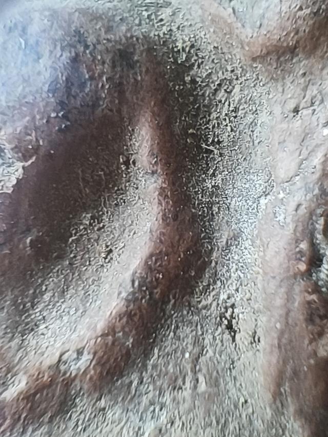 พระขุนแผนเนื้อดินเนื้อชิน (ไม่ทราบที่)จริงแท้พิจารณาตามรูปครับ 6