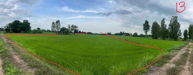 ขายด่วนที่ดินแปลงสวย 10 ไร่ 18